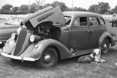 Nash293