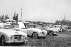 1979 GN,Nash Heale