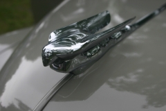 Nash Car Show 116