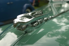 Nash Car Show 153