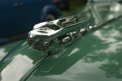 Nash Car Show 154