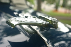Nash Car Show 047