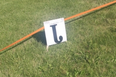 66